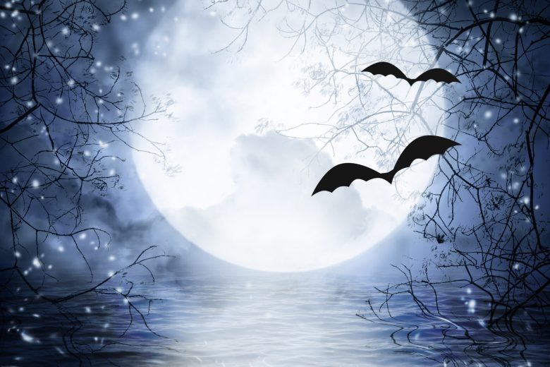 Halloween Holiday Lodges